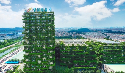 ���ݾ��ع���