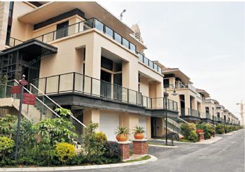 ��ɽ �� ���������׸�