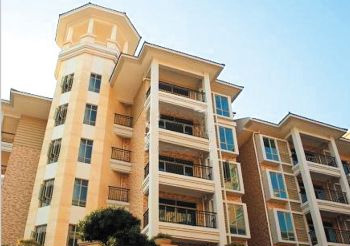 ��ɽ �� �ž�����