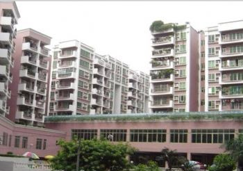 ���� �� �����гǰ���԰