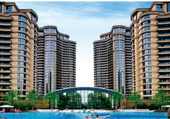 ���� �� �̳�