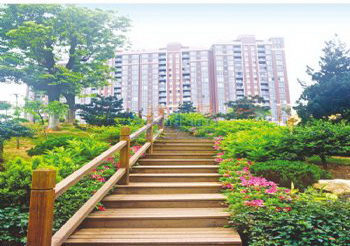 ��ɳ �� ����ƥ�˻�԰