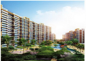 ��ɽ �� ������Է